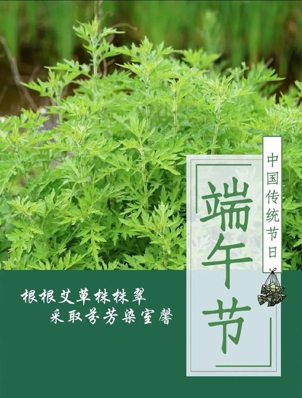 保定理工学院||管理学院||端午送福利 关怀沁人心——我院为教职工发放端午节礼品