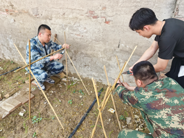 劳动教育|保定理工学院|管理学院|学习劳动精神·践行劳动育人-跟着节气学种植，分享劳动创造的美好乐趣