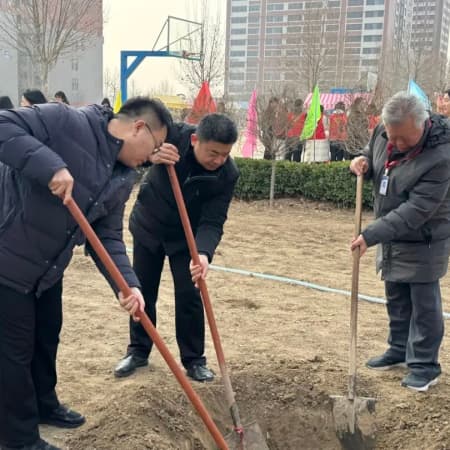 植此青绿，不负春光