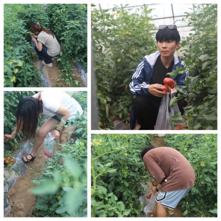 以艺践劳育初心，校企赋能田园新篇 | 保定理工学院艺术学院&莓事庄园签约挂牌仪式圆满举行