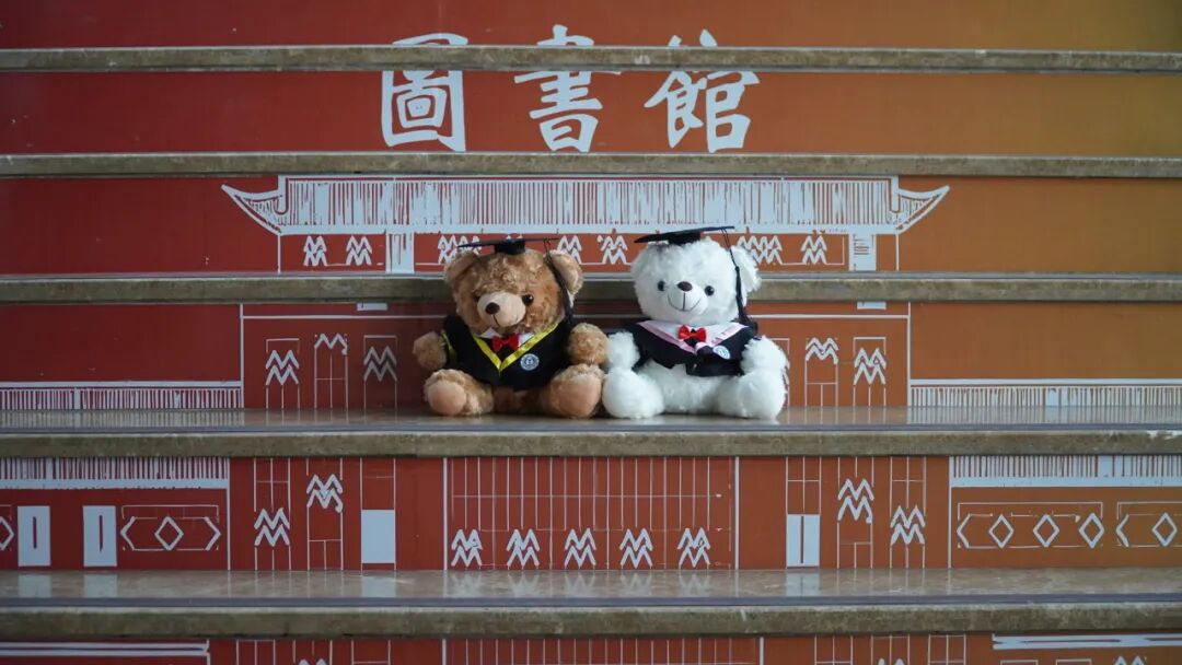 保理限定——这只毕业熊，装下了我们的四年